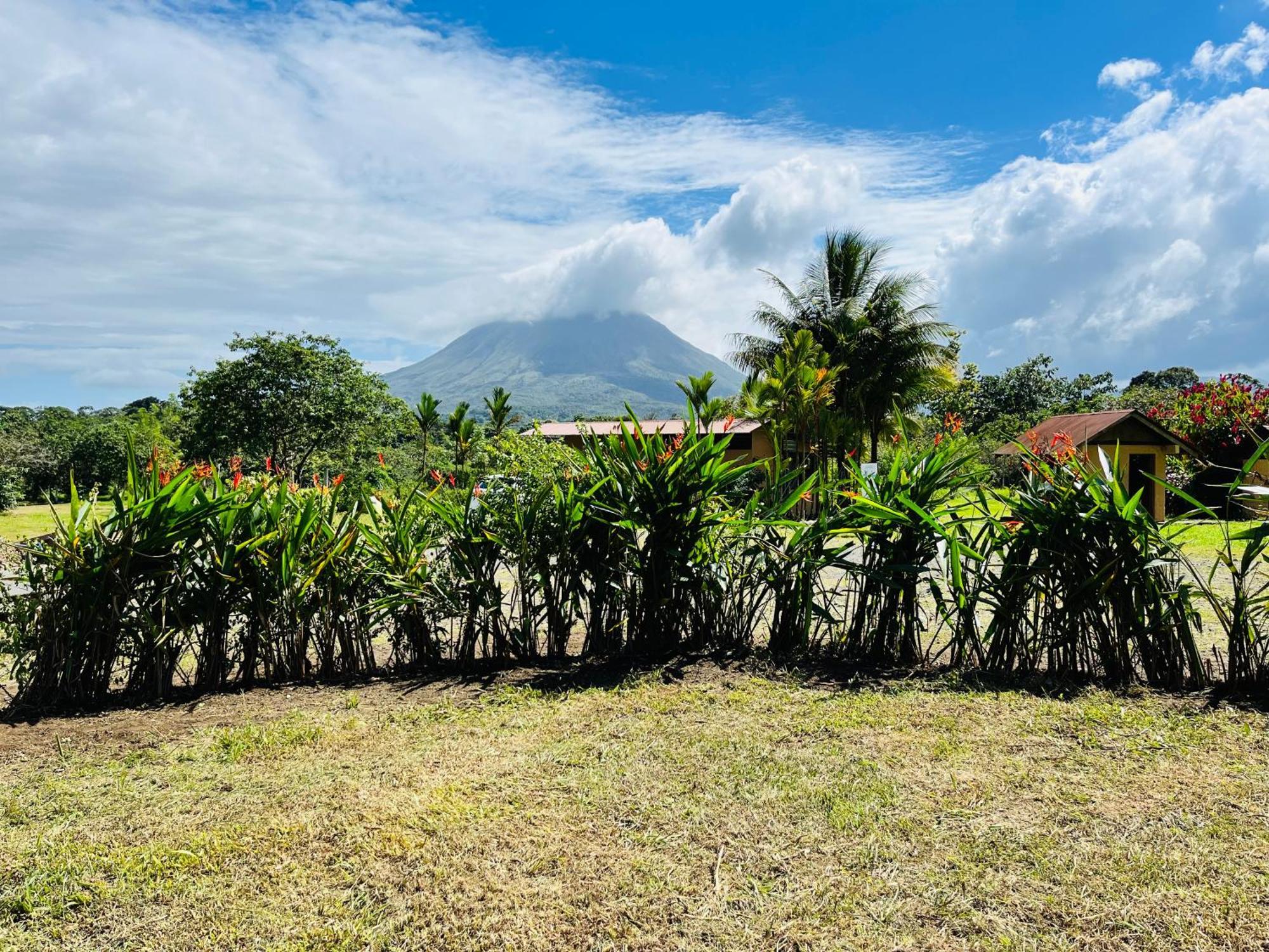 Вілла Wellness Park Cr La Fortuna Екстер'єр фото